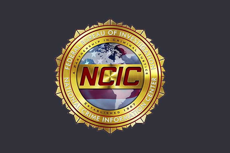 NCIC Logo (lead  2)