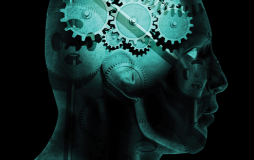 Head with Gears in Brain Area (Stock Image)