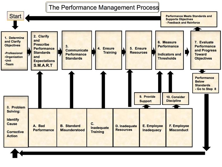The Performance Management Process