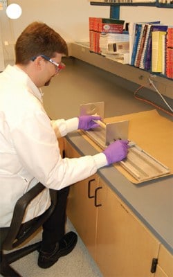 A forensic anthropologist examines a bone in the FBI Laboratory.
