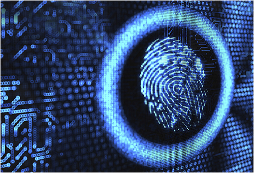 Fingerprint on Digital Background (Stock Image)