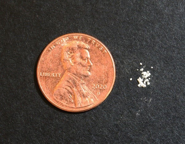 An image of a penny next to powdered fetanyl.