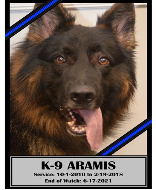 K-9 Aramis served with the Temple Terrace, Florida, Police Department.