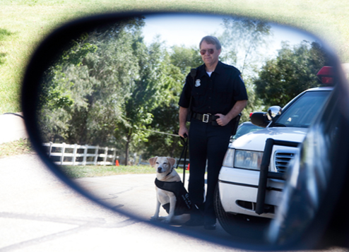 Officer and Canine in Sideview Mirror