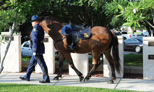 A riderless horse is seen at the Louisiana State Police Memorial.