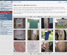 Screen capture of the National Gang Intelligence Center SST database.