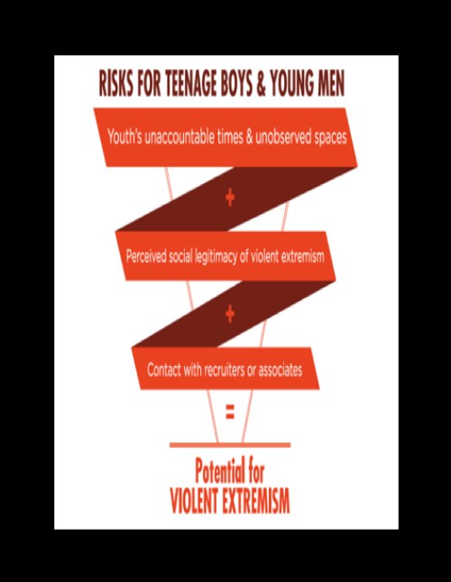 Risks for Teenage Boys and Young Men