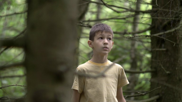A stock image of a young boy lost in the woods.