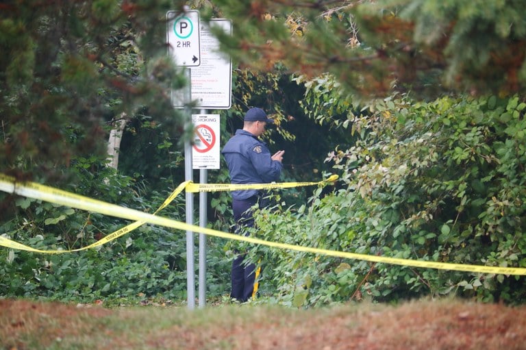 A stock image of officer working within a wooded crime scene.