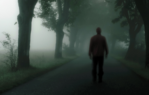 Silhouette of Man Walking Through Misty Trees (Stock Image)
