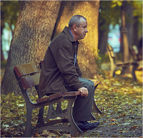 Older Man Sitting on Park Bench (Stock Image)