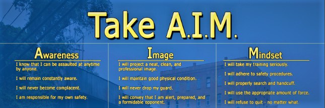 Take A.I.M. Graphic discusses Awareness, Image, and Mindset.