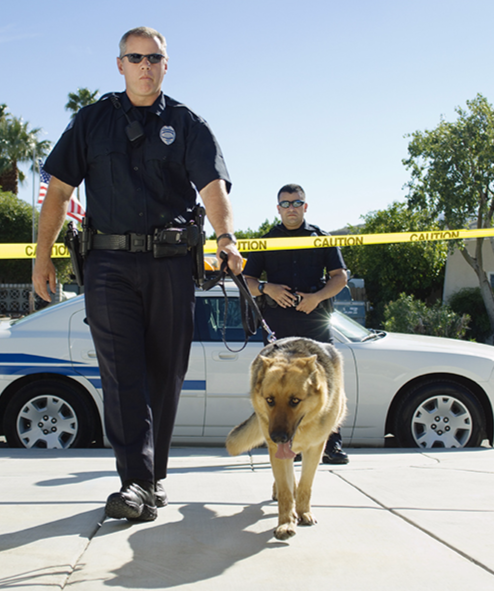 Officer Walking Canine with Police Tape in Background