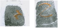 Altered Fingerprints: Z-Pattern Cut