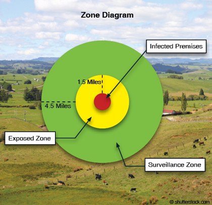 Zone Diagram